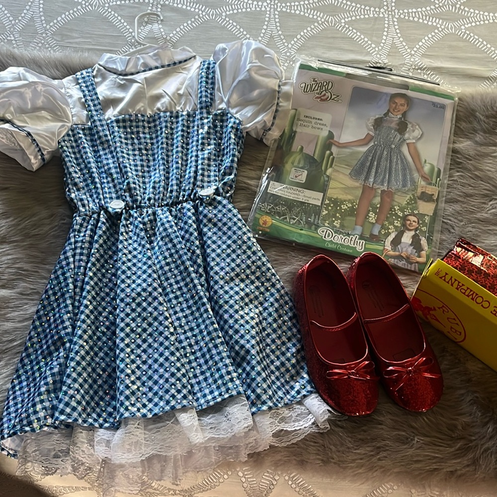 Wizard of Oz Dorothy costume